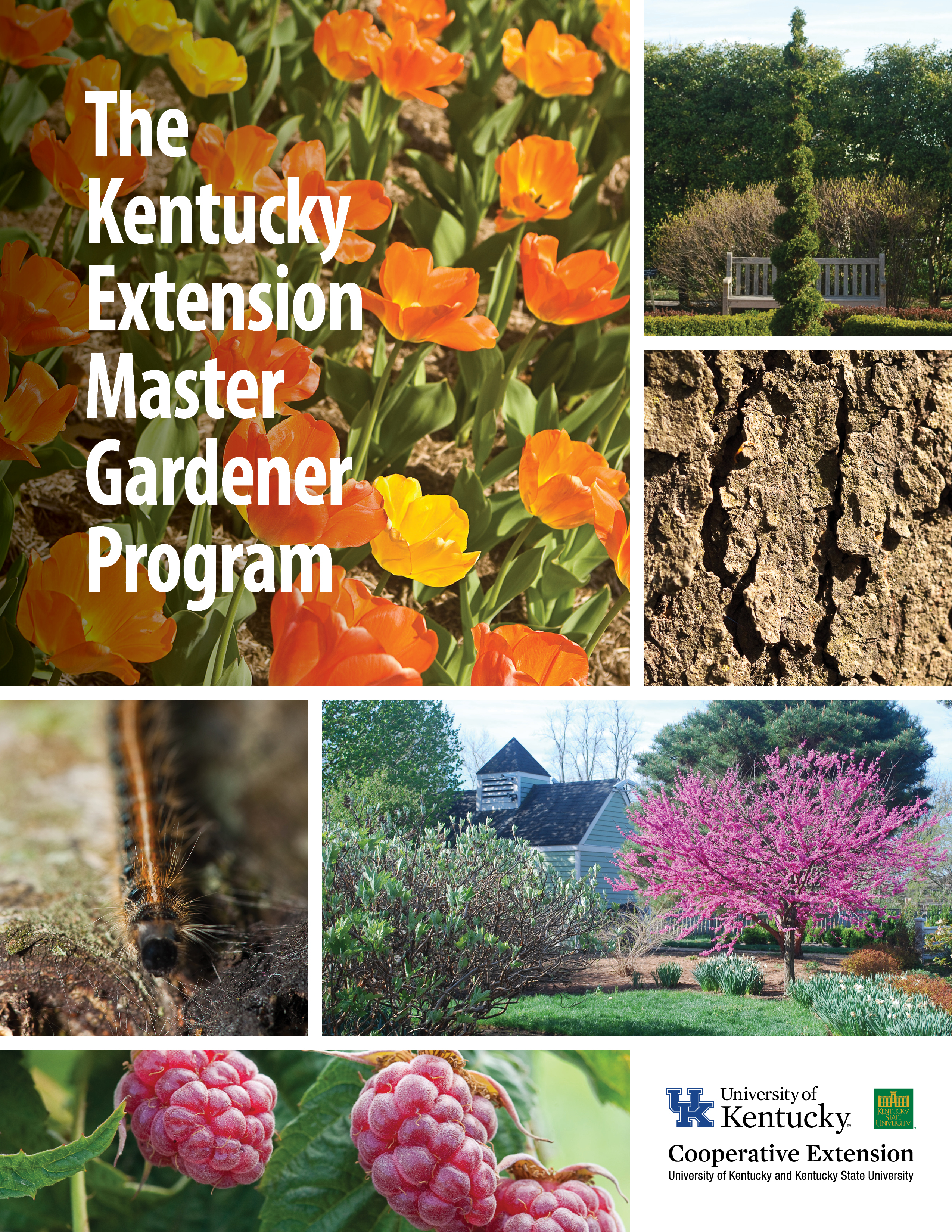 Master Gardener Front Cover