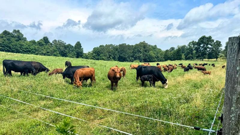 Glenmar Farms. Picture provided by Lincoln Pyles of Glenmar Farms.